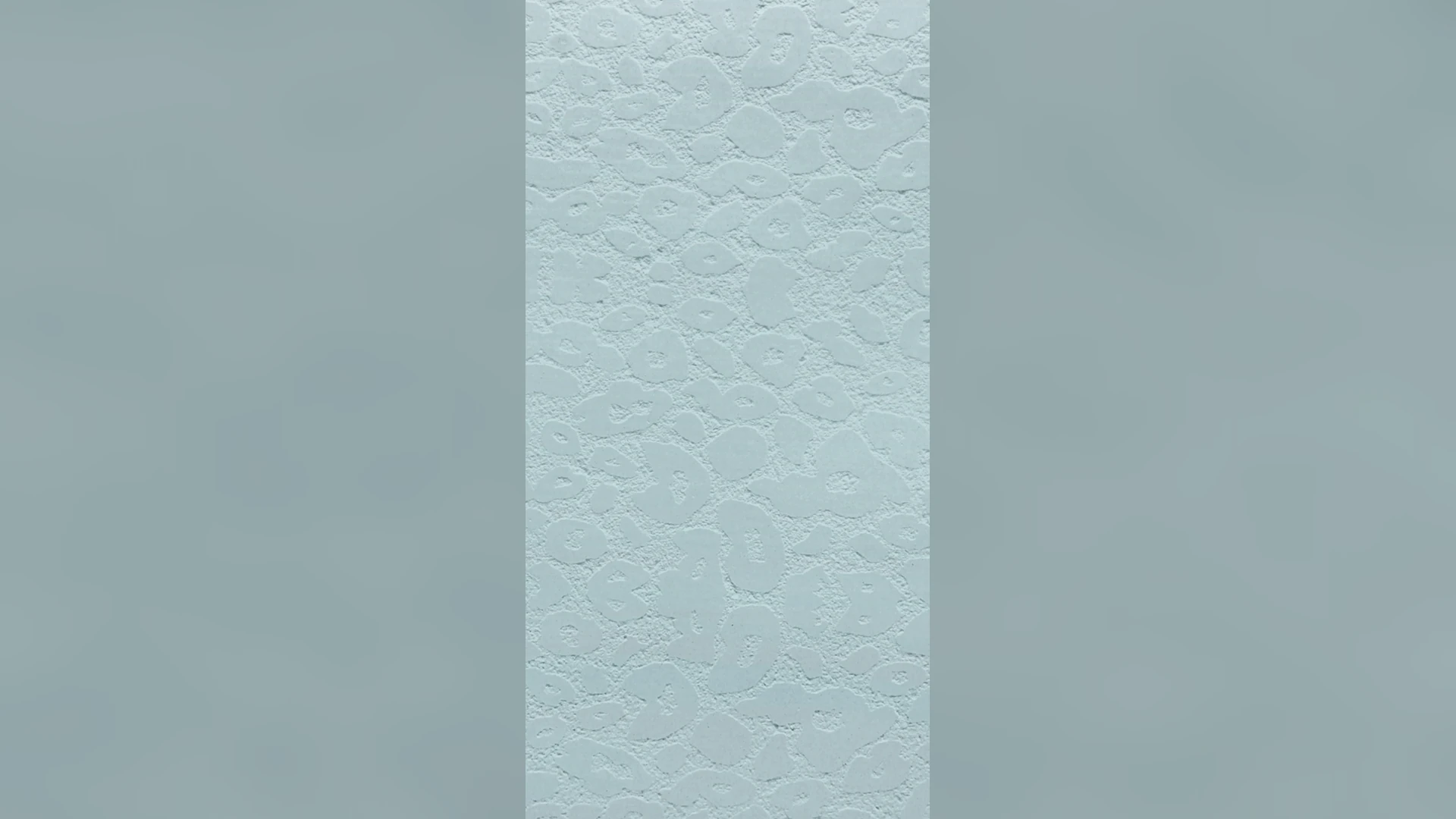 BN02