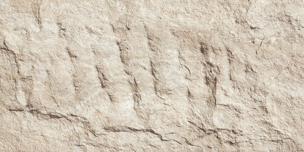Devine Stone