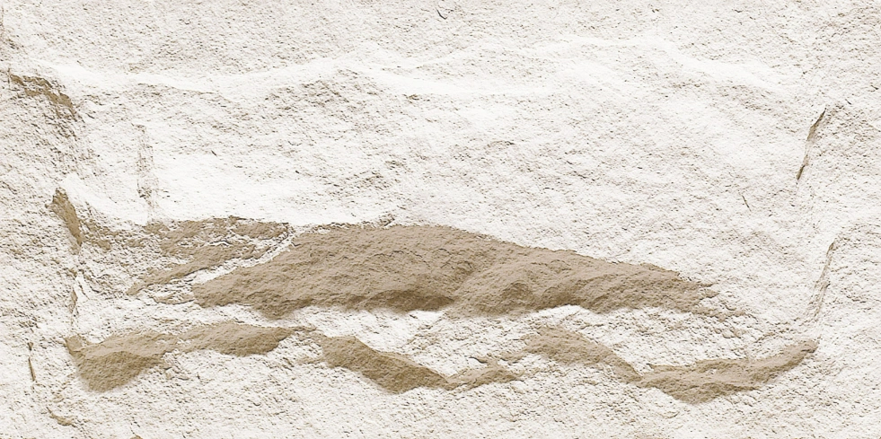 Four-Hole Polish Concrete Stone