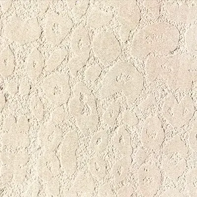 Butterfly Stone